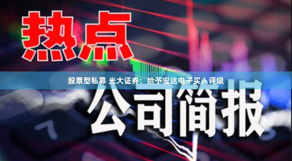 股票型私募 光大证券：给予宏达电子买入评级