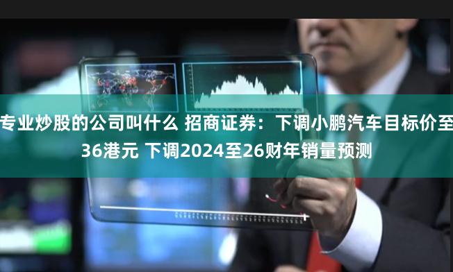 专业炒股的公司叫什么 招商证券：下调小鹏汽车目标价至36港元 下调2024至26财年销量预测